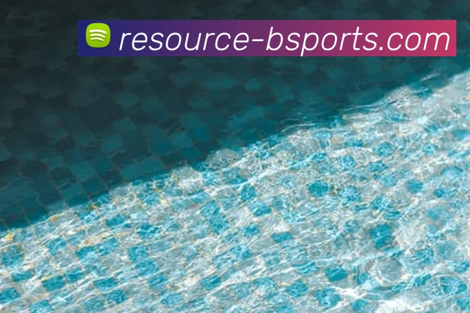 B体育平台生态图